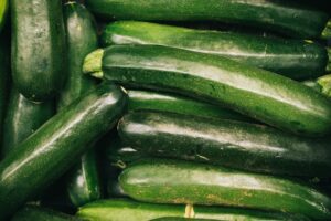 The Ultimate Guide to Growing Zucchini in Florida