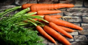 Carrots in the Sunshine: A Florida Gardener's Handbook